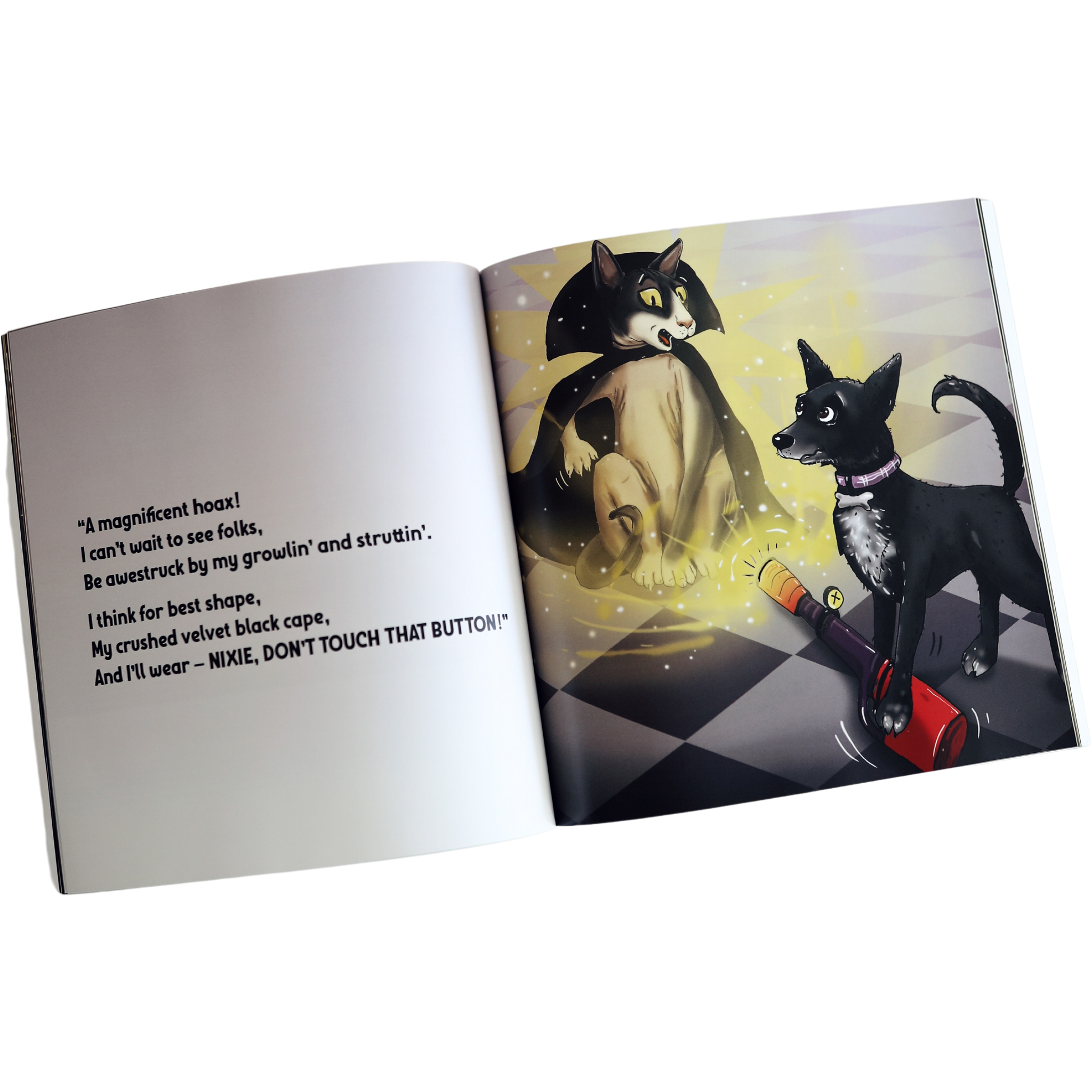 The Adventures Of The Dark Lord Cat E-book