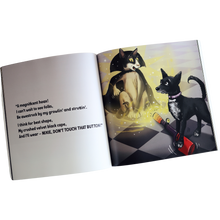 The Adventures Of The Dark Lord Cat Paperback Book